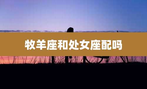 牧羊座和处女座配吗