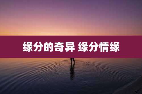 缘分的奇异 缘分情缘