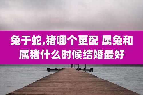 兔于蛇,猪哪个更配 属兔和属猪什么时候结婚最好