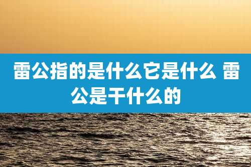 雷公指的是什么它是什么 雷公是干什么的