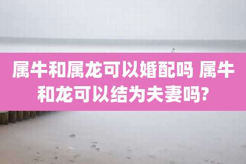 属牛和属龙可以婚配吗 属牛和龙可以结为夫妻吗?