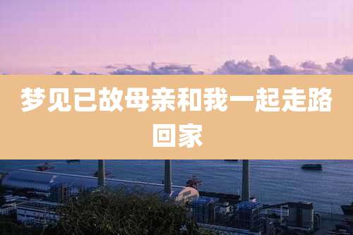 梦见已故母亲和我一起走路回家