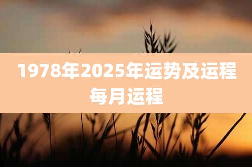 1978年2025年运势及运程每月运程