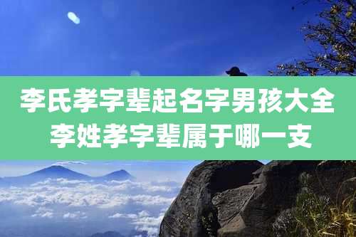 李氏孝字辈起名字男孩大全 李姓孝字辈属于哪一支