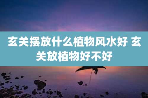 玄关摆放什么植物风水好 玄关放植物好不好