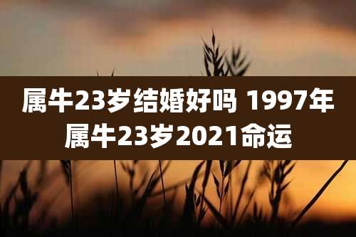 属牛23岁结婚好吗 1997年属牛23岁2021命运