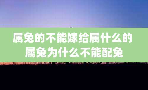 属兔的不能嫁给属什么的 属兔为什么不能配兔