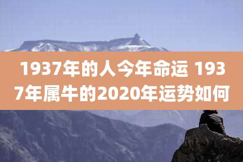 1937年的人今年命运 1937年属牛的2020年运势如何