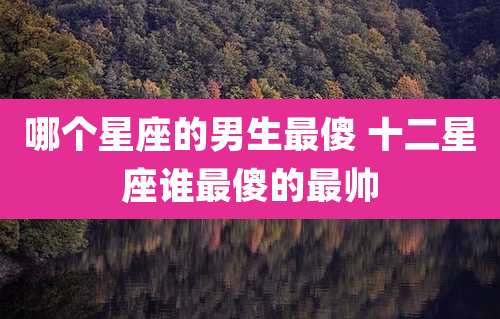 哪个星座的男生最傻 十二星座谁最傻的最帅