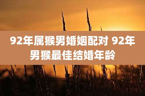 92年属猴男婚姻配对 92年男猴最佳结婚年龄