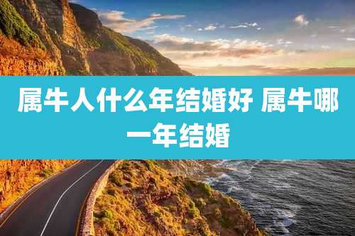 属牛人什么年结婚好 属牛哪一年结婚