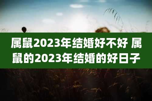 属鼠2023年结婚好不好 属鼠的2023年结婚的好日子