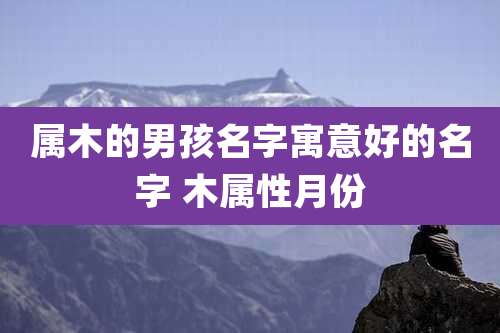 属木的男孩名字寓意好的名字 木属性月份
