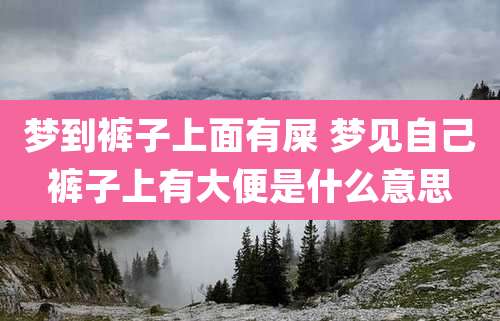 梦到裤子上面有屎 梦见自己裤子上有大便是什么意思