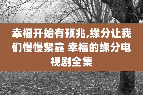 幸福开始有预兆,缘分让我们慢慢紧靠 幸福的缘分电视剧全集
