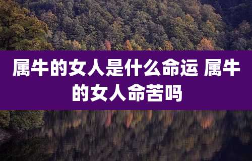 属牛的女人是什么命运 属牛的女人命苦吗