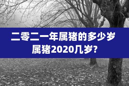 二零二一年属猪的多少岁 属猪2020几岁?