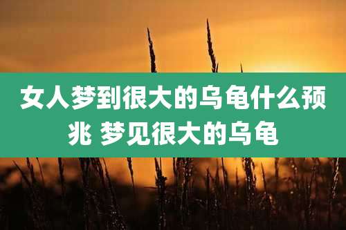 女人梦到很大的乌龟什么预兆 梦见很大的乌龟