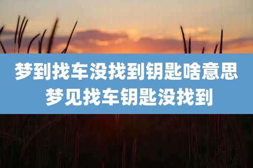 梦到找车没找到钥匙啥意思 梦见找车钥匙没找到