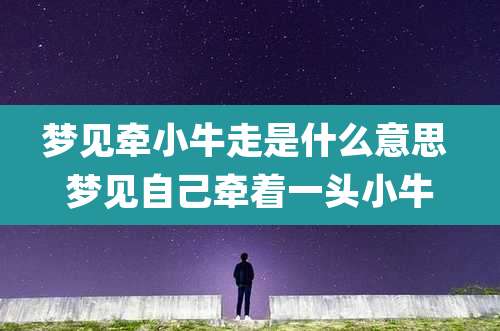梦见牵小牛走是什么意思 梦见自己牵着一头小牛