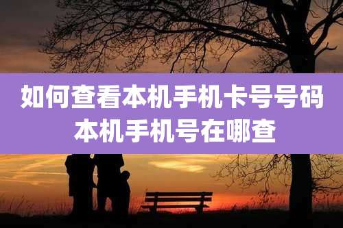 如何查看本机手机卡号号码 本机手机号在哪查