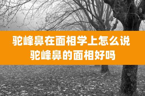 驼峰鼻在面相学上怎么说 驼峰鼻的面相好吗