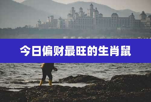 今日偏财最旺的生肖鼠