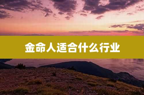 金命人适合什么行业