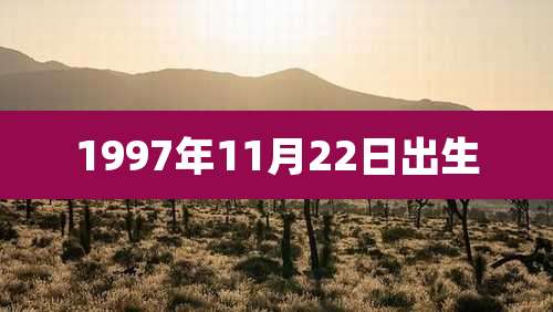 1997年11月22日出生