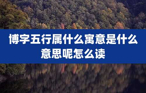 博字五行属什么寓意是什么意思呢怎么读
