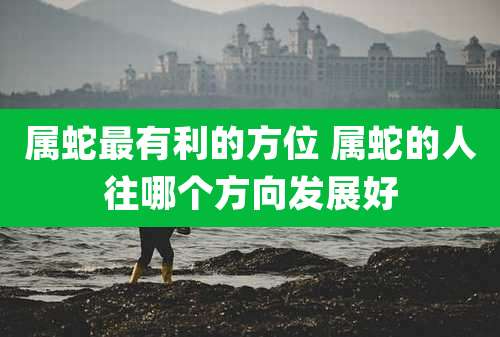 属蛇最有利的方位 属蛇的人往哪个方向发展好