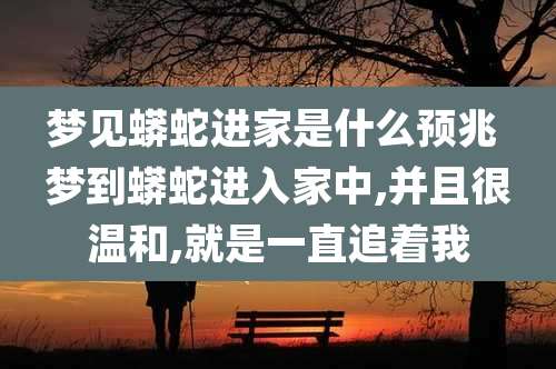梦见蟒蛇进家是什么预兆 梦到蟒蛇进入家中,并且很温和,就是一直追着我