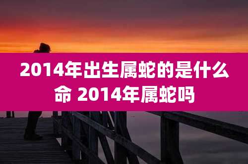 2014年出生属蛇的是什么命 2014年属蛇吗