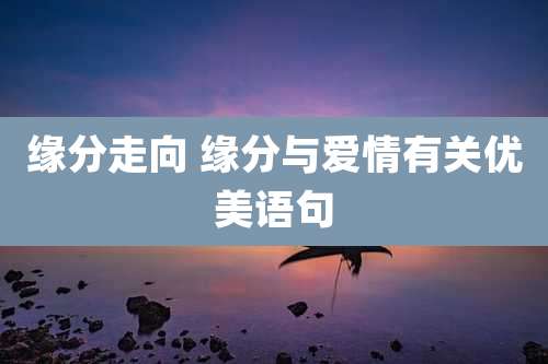 缘分走向 缘分与爱情有关优美语句