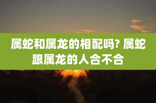 属蛇和属龙的相配吗? 属蛇跟属龙的人合不合