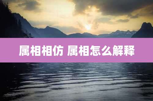 属相相仿 属相怎么解释