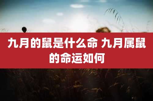 九月的鼠是什么命 九月属鼠的命运如何