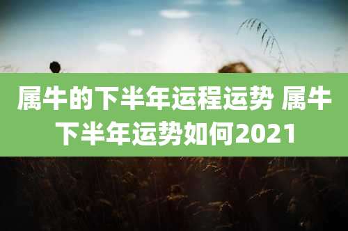 属牛的下半年运程运势 属牛下半年运势如何2021