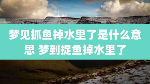 梦见抓鱼掉水里了是什么意思 梦到捉鱼掉水里了