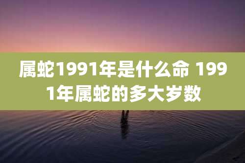 属蛇1991年是什么命 1991年属蛇的多大岁数
