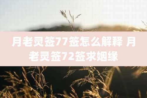 月老灵签77签怎么解释 月老灵签72签求姻缘