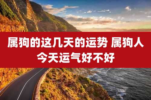属狗的这几天的运势 属狗人今天运气好不好