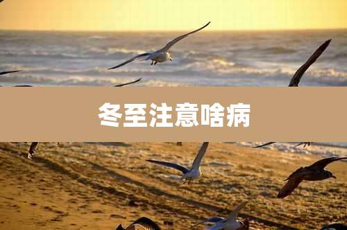 冬至注意啥病