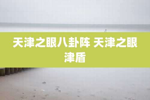 天津之眼八卦阵 天津之眼津盾