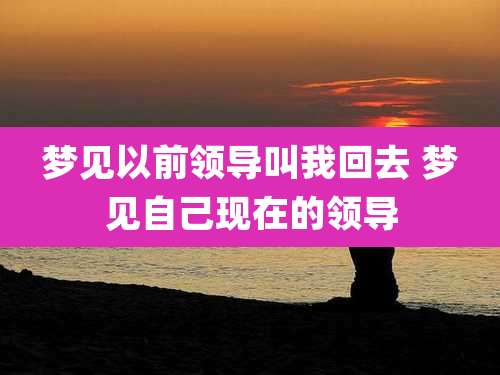 梦见以前领导叫我回去 梦见自己现在的领导