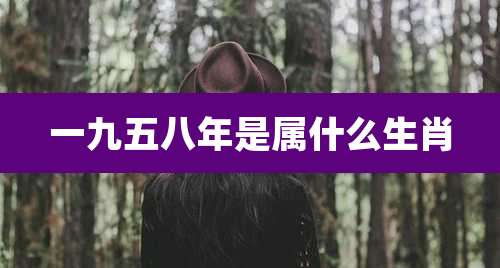 一九五八年是属什么生肖
