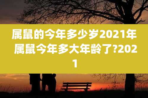 属鼠的今年多少岁2021年 属鼠今年多大年龄了?2021