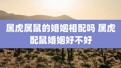 属虎属鼠的婚姻相配吗 属虎配鼠婚姻好不好