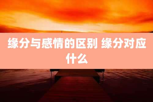 缘分与感情的区别 缘分对应什么