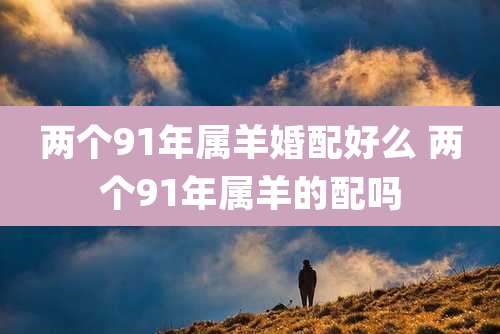 两个91年属羊婚配好么 两个91年属羊的配吗